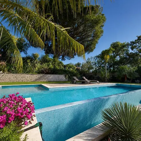 Premium Piscine Privee & Petanque Fréjus